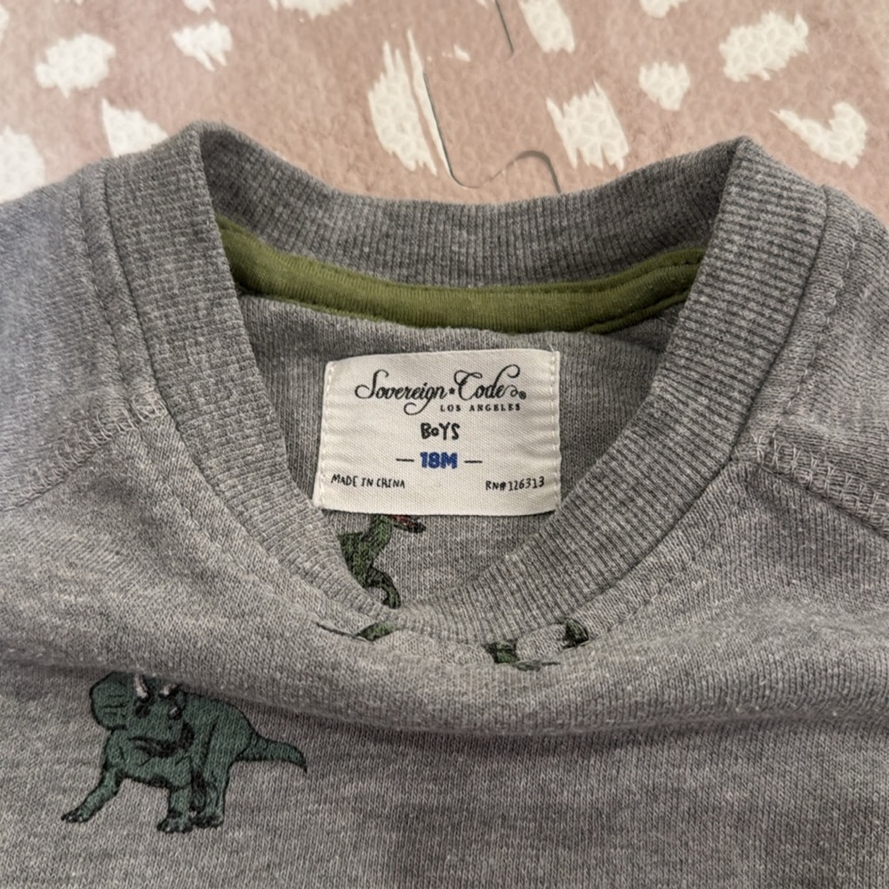 Sovereign Code Boys Dinosaur Sweatshirt Gray Size 18M - Picture 5 of 11